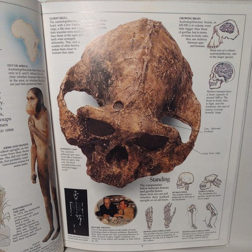 Eyewitness Books: Early Humans by Nick Merriman, 1989 1st American Ed. Hardcover