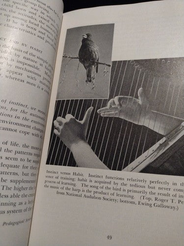 Man In Environment, By Paul H. Landis (1949) 1 St Edition HC Thomas Y Crowell co