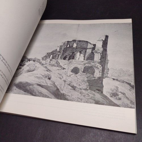 Shock of Recognition: The Landscape of English Romanticism -Paperback 1971
