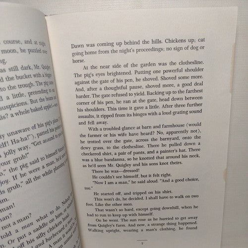 Quentin Corn by Mary Stolz -1985 Hardcover -First Edition