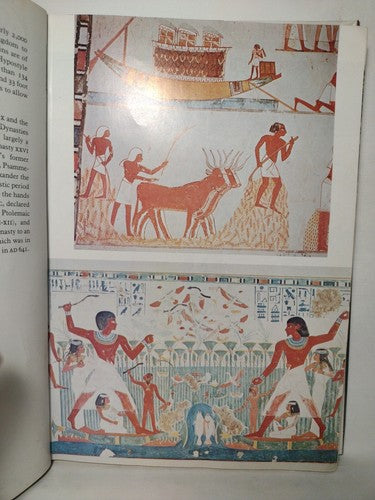 Mysteries Of The Mummies Edited By Dr. Rosalie David -1978 -HCwDJ -ExLibrary