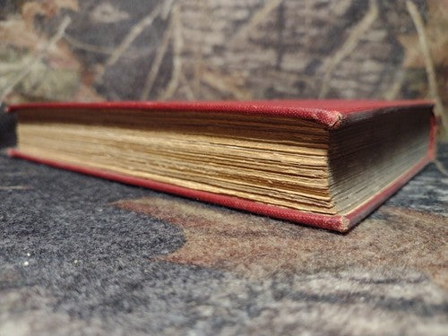 Great Englishmen of the Sixteenth Century by Sydney Lee -1904 -Vintage Hardcover