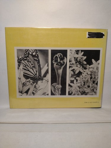 From Flower To Flower: Animals And Pollination By Patricia Lauber -1st Ed -1986