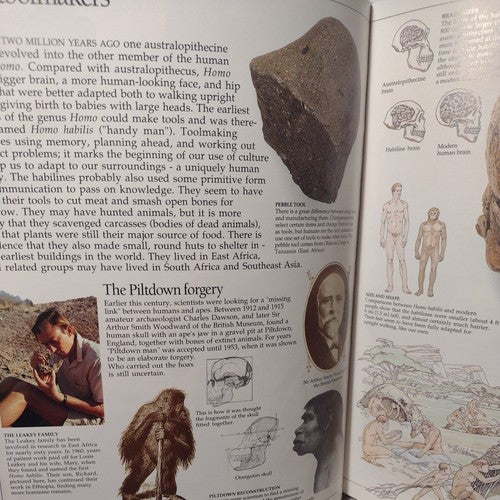 Eyewitness Books: Early Humans by Nick Merriman, 1989 1st American Ed. Hardcover