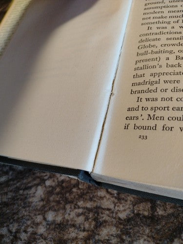 Elizabethan Literature By Helen Morris -1958 -HCwDJ -Classic Literature vintage