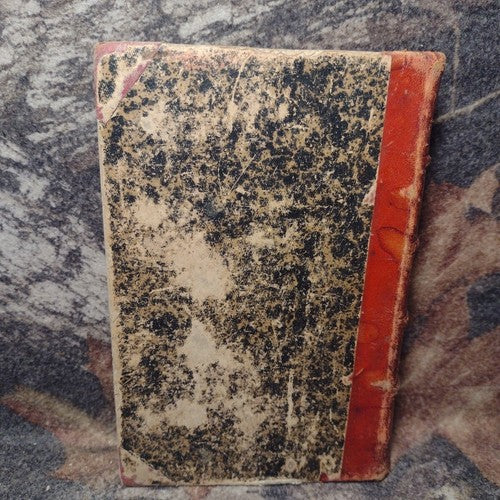 De Trop by Zenaide Fleuriot Leather Hardcover  1888 French antique satire