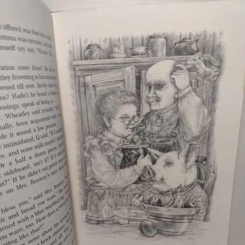 Quentin Corn by Mary Stolz -1985 Hardcover -First Edition