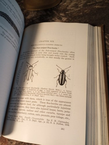 Rare Insect Pests Of Farm, Garden, And Orchard By Sanderson And Peairs 1921