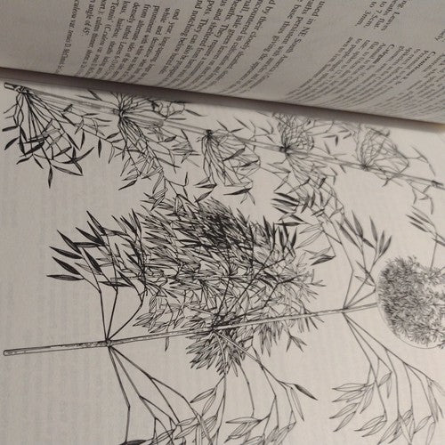 Royal Horticultural Society: Manual of Grasses by Mark Griffiths 1994 Hardcover