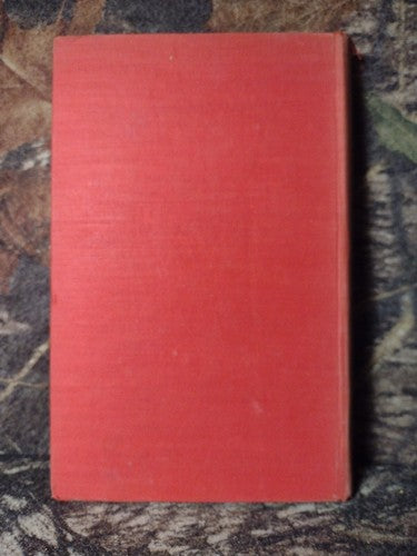 Nineteenth Century Studies: Coleridge to Matthew Arnold by Basil Willey 1949 HC