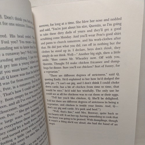 Quentin Corn by Mary Stolz -1985 Hardcover -First Edition
