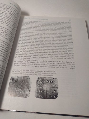 Human Societies: An Introduction to Macrosociology 7th Ed. by Gerhard Lenski -HC