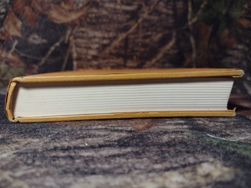 THE POETRY OF THE FAERIE QUEENE by Paul J. Alpers -1969 Hardcover Vintage Poetry