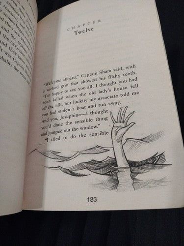 The Wide Window by Lemony Snicket