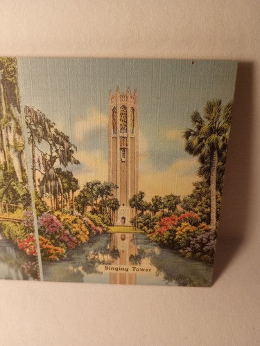 Cyprus Garden Florida Tourist Card Vintage 5.5 X 3.5