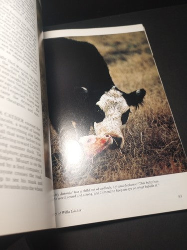 NATIONAL GEOGRAPHIC MAGAZINE  Signed JULY 1982  SINBAD  PERU   MAYA