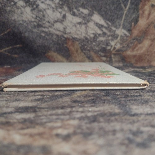 The True Rest and Hope of Man by Frederick Maurice -Circa Late 1800's-1900's HC