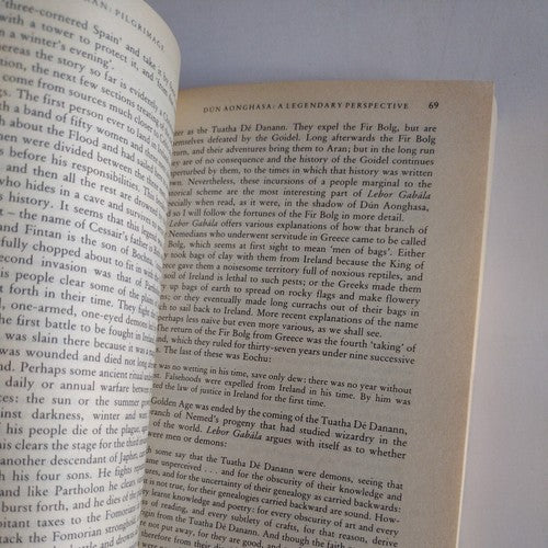 Stones of Aran : Pilgrimage by Tim Robinson (1991, UK-B Format Paperback)