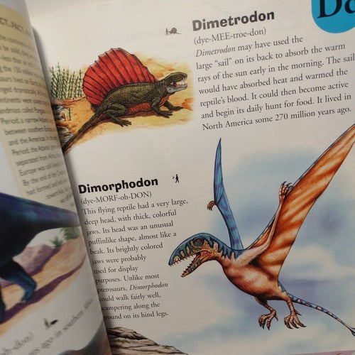 Dinosaur Dictionary: An A to Z of Dinosaurs and Prehistori... by rupert-matthews