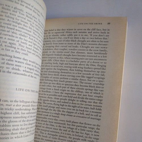 Stones of Aran : Pilgrimage by Tim Robinson (1991, UK-B Format Paperback)