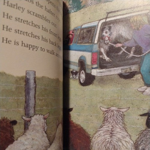 Harley by Star Livingstone (2001, Hardcover) First US print
