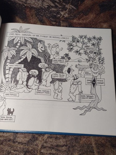 The History of the Universe: Volume 1 by Susan Sturgill -Signed by Author 1988