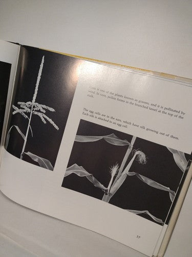 From Flower To Flower: Animals And Pollination By Patricia Lauber -1st Ed -1986