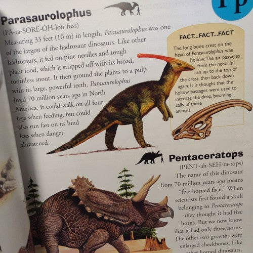Dinosaur Dictionary: An A to Z of Dinosaurs and Prehistori... by rupert-matthews