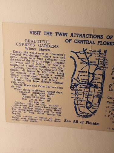 Cyprus Garden Florida Tourist Card Vintage 5.5 X 3.5