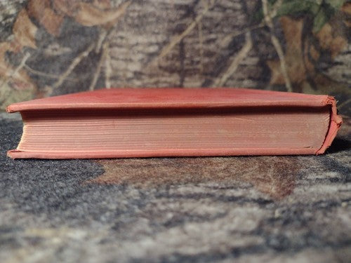 Nineteenth Century Studies: Coleridge to Matthew Arnold by Basil Willey 1949 HC