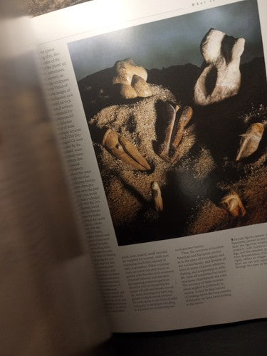 The First Humans: Human Origins and History to 10,000 B.C. (Illustrated Hist...