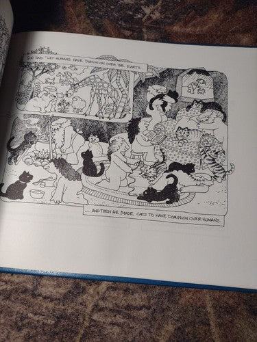 The History of the Universe: Volume 1 by Susan Sturgill -Signed by Author 1988