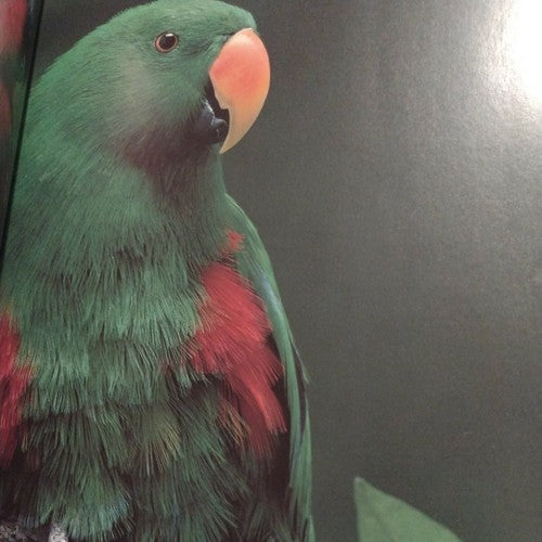 Wild Australasia by Mary Summerill & Neil Nightengale -2003 Hardcover