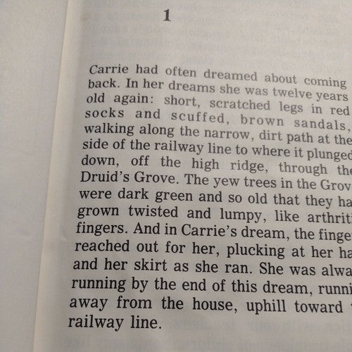 Carrie's War by Nina Bawden -1976 -Library Binding Hardcover -Large Printing