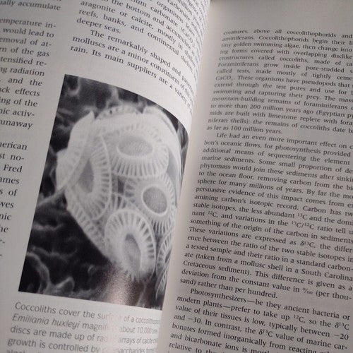 Scientific American Library: Cycles of Life : Civilization and the Biosphere by