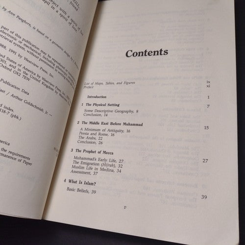 A Concise History of the Middle East by Arthur Goldschmidt Jr. -PB 4th Ed Rev.