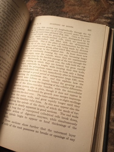 A Textbook Of Botany For Colleges by W.F. Ganong -1916 Hardcover -Exlibris