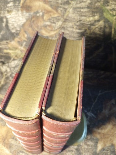 Justin McCarthy REMINISCENCES 2 Volume Set Chatti Windus 1899
