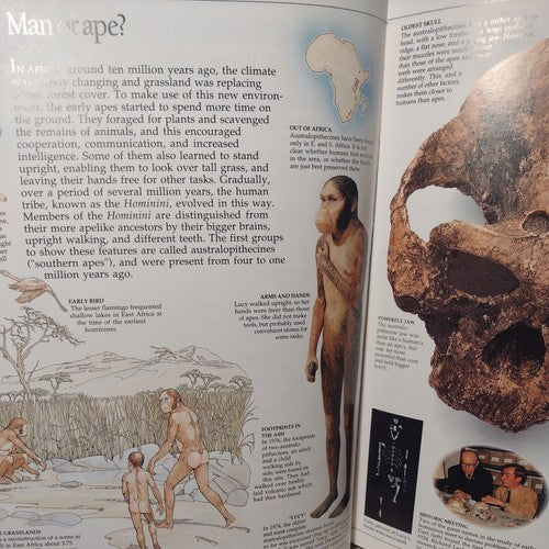 Eyewitness Books: Early Humans by Nick Merriman, 1989 1st American Ed. Hardcover