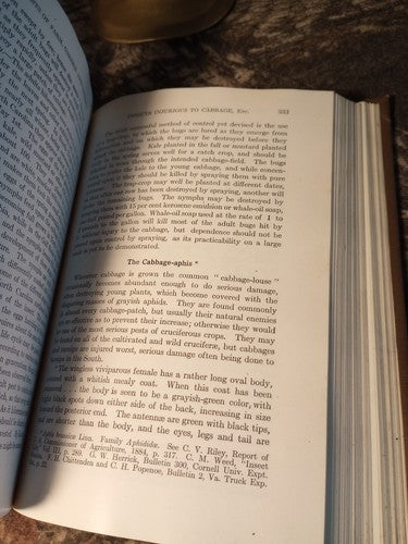 Rare Insect Pests Of Farm, Garden, And Orchard By Sanderson And Peairs 1921