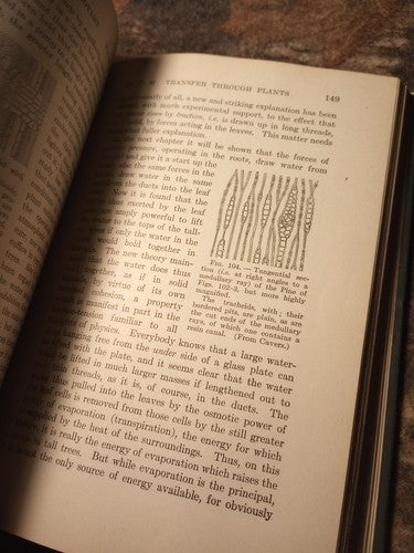 A Textbook Of Botany For Colleges by W.F. Ganong -1916 Hardcover -Exlibris