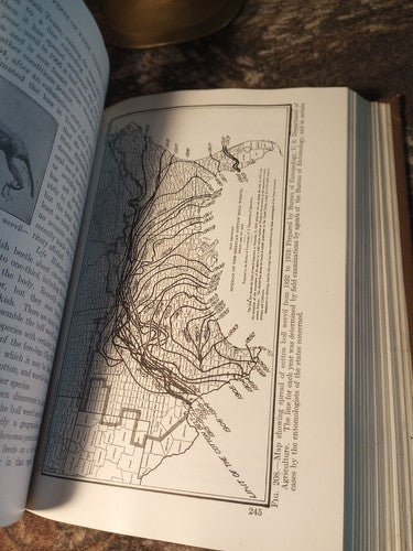 Rare Insect Pests Of Farm, Garden, And Orchard By Sanderson And Peairs 1921