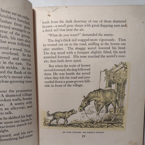 Shaggy The Horse from Wyoming by Russell Gordon Carter -1939 -HC no DJ -exLib