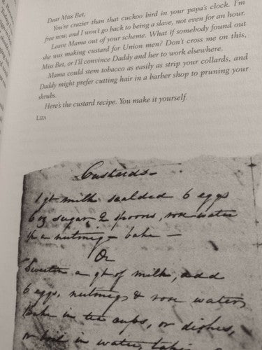 Dear Ellen Bee : A Scrapbook of the Civil War by Muriel M. Branch, Mary E. Lyons