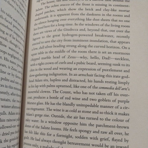 The Infinities by John Banville (2010, Hardcover book