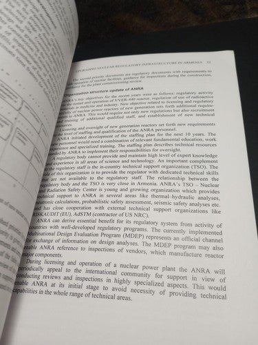 Nuclear Power and Energy Security by Samuel Apikyan (English) Paperback Book