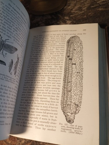 Rare Insect Pests Of Farm, Garden, And Orchard By Sanderson And Peairs 1921