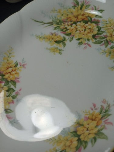 Royal Albert Tea/Coffee Creamer, Sugar And Plate Blossom Series "Laburnum" 1960s