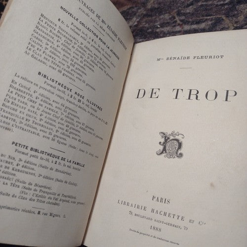 De Trop by Zenaide Fleuriot Leather Hardcover  1888 French antique satire