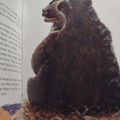 Bottoms Up! : A Book about Rear Ends by Marilyn Singer (1998, HC)